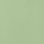 CARDSTOCK AC TEXTURED 12x12" MINT- SOLD IN PACKS 10