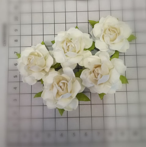 ROSES - MEDIUM 35MM OFF WHITE  (SOLD IN A BUNCH OF 5)