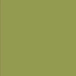 CARDSTOCK AC TEXTURED 12x12" OLIVE - SOLD IN PACKS OF 10