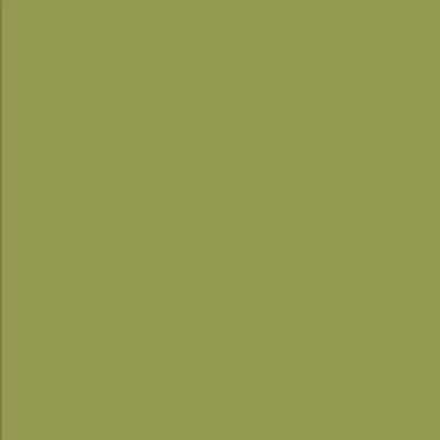 CARDSTOCK AC TEXTURED 12x12" OLIVE - SOLD IN PACKS OF 10